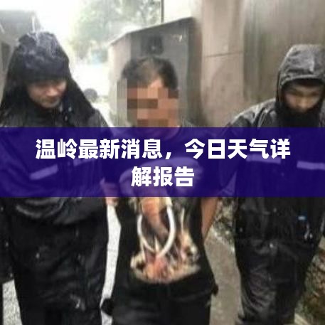 溫嶺最新消息，今日天氣詳解報告