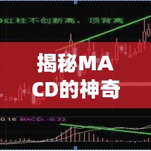 揭秘MACD的神奇之處，百度帶你探索其妙用！