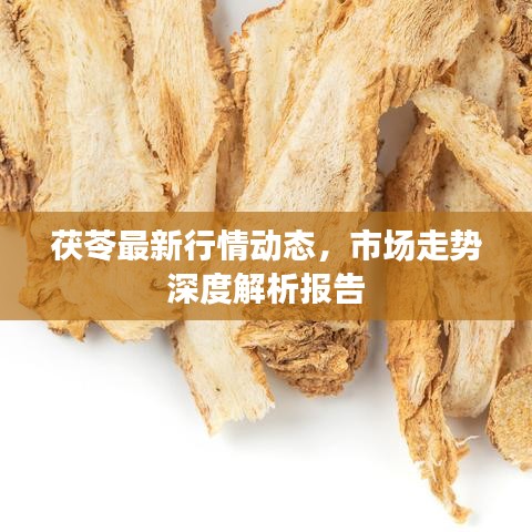 茯苓最新行情動態(tài)，市場走勢深度解析報告