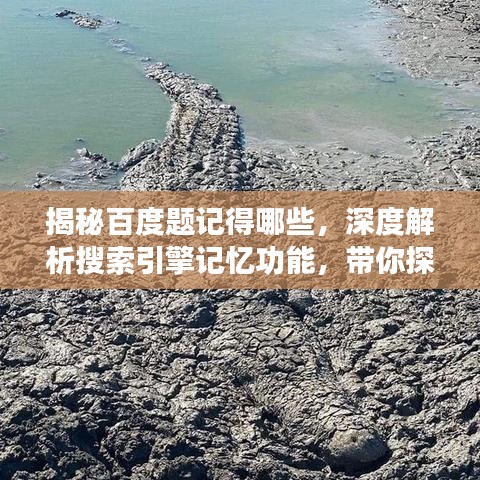 揭秘百度題記得哪些，深度解析搜索引擎記憶功能，帶你探索未知奧秘