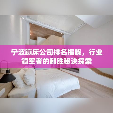 寧波蹦床公司排名揭曉，行業(yè)領(lǐng)軍者的制勝秘訣探索
