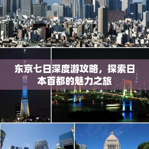 東京七日深度游攻略，探索日本首都的魅力之旅