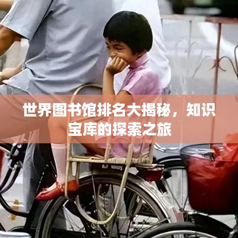 世界圖書館排名大揭秘，知識寶庫的探索之旅