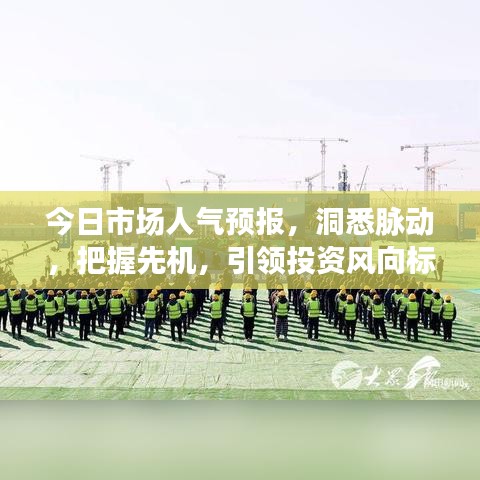 今日市場人氣預(yù)報，洞悉脈動，把握先機(jī)，引領(lǐng)投資風(fēng)向標(biāo)