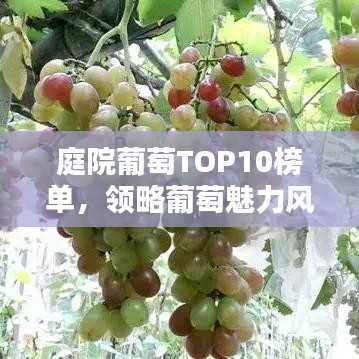 草間求活 第3頁