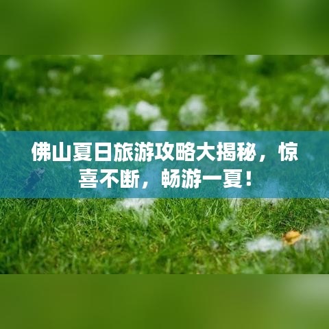 佛山夏日旅游攻略大揭秘，驚喜不斷，暢游一夏！