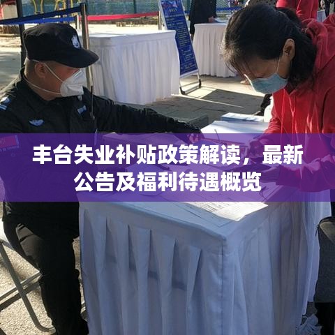 豐臺(tái)失業(yè)補(bǔ)貼政策解讀，最新公告及福利待遇概覽