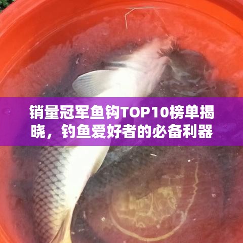 銷量冠軍魚鉤TOP10榜單揭曉，釣魚愛好者的必備利器