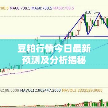 豆粕行情今日最新預(yù)測(cè)及分析揭秘