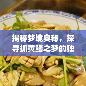 揭秘夢境奧秘，探尋抓黃鱔之夢的獨特解讀