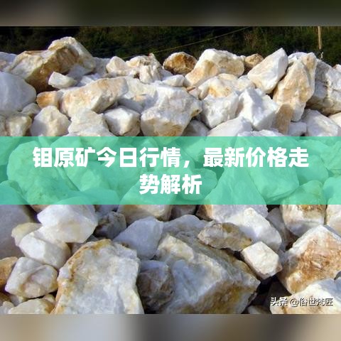 鉬原礦今日行情，最新價(jià)格走勢(shì)解析