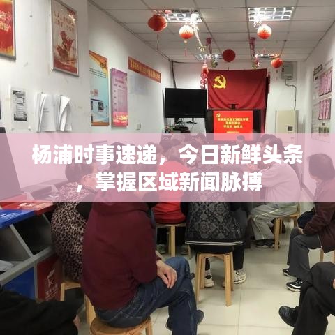 楊浦時事速遞，今日新鮮頭條，掌握區(qū)域新聞脈搏