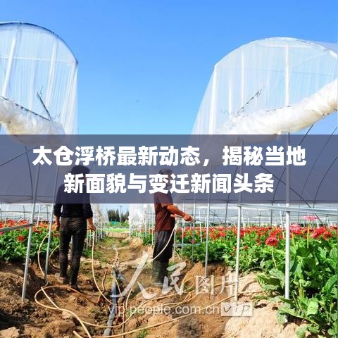 鳥語蟬鳴 第3頁