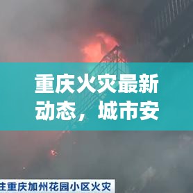重慶火災(zāi)最新動態(tài)，城市安全與應(yīng)急救援面臨嚴峻挑戰(zhàn)