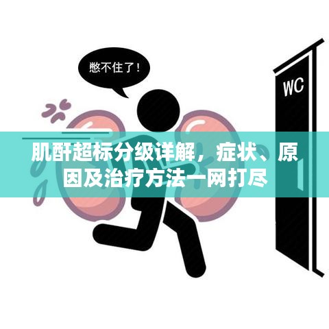 肌酐超標分級詳解，癥狀、原因及治療方法一網(wǎng)打盡