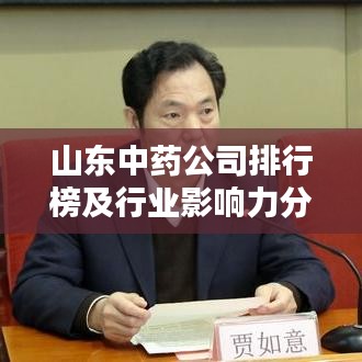 山東中藥公司排行榜及行業(yè)影響力分析