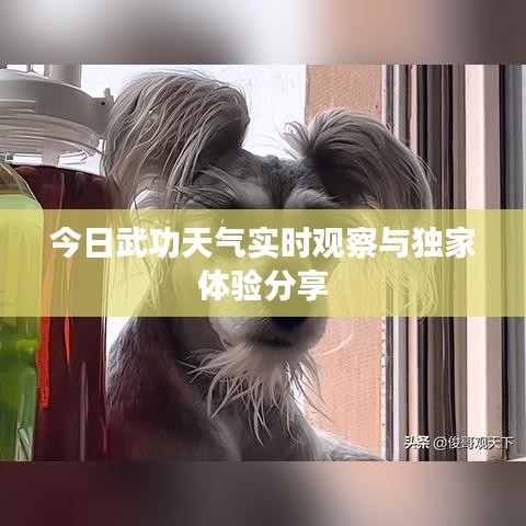 今日武功天氣實時觀察與獨家體驗分享