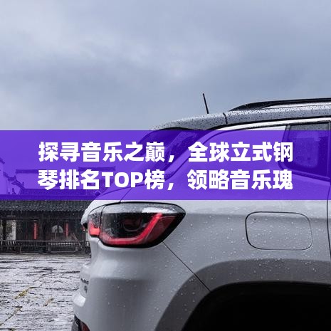 探尋音樂之巔，全球立式鋼琴排名TOP榜，領(lǐng)略音樂瑰寶之美！