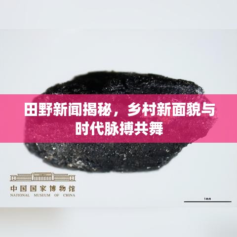 田野新聞揭秘，鄉(xiāng)村新面貌與時(shí)代脈搏共舞