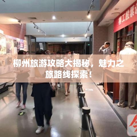 柳州旅游攻略大揭秘，魅力之旅路線探索！