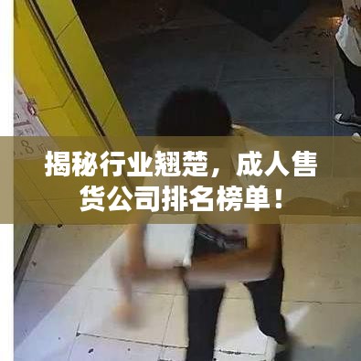 揭秘行業(yè)翹楚，成人售貨公司排名榜單！