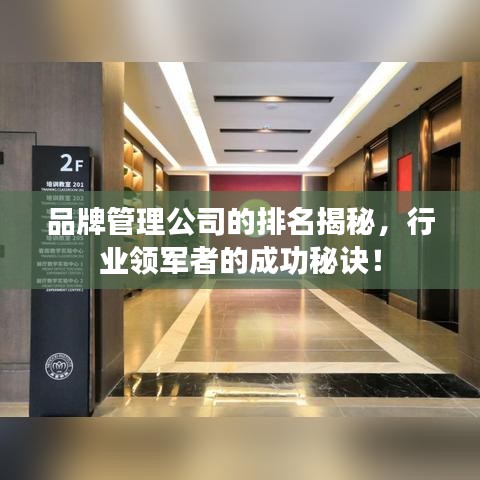 品牌管理公司的排名揭秘，行業(yè)領(lǐng)軍者的成功秘訣！