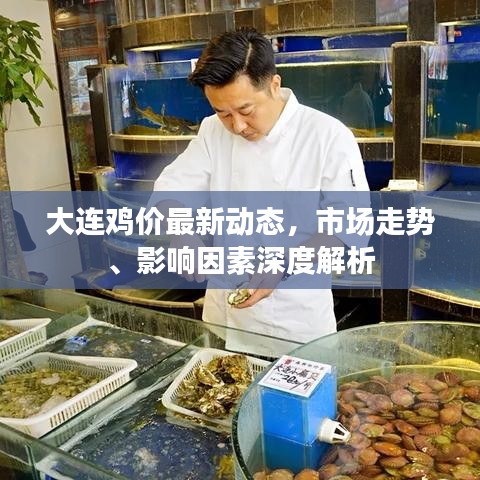 大連雞價最新動態(tài)，市場走勢、影響因素深度解析