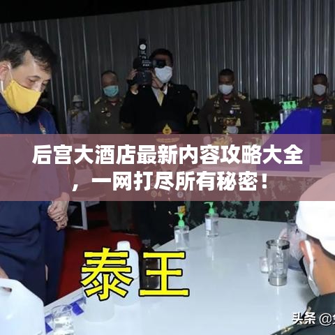 后宮大酒店最新內(nèi)容攻略大全，一網(wǎng)打盡所有秘密！