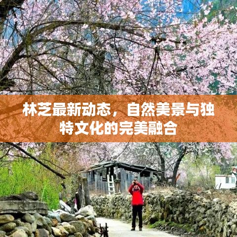 林芝最新動態(tài)，自然美景與獨特文化的完美融合