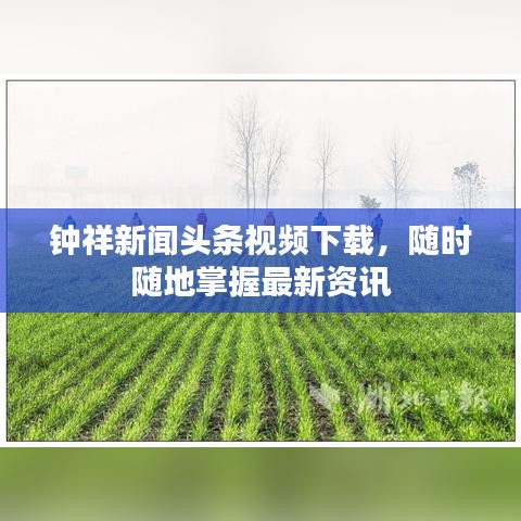 鐘祥新聞?lì)^條視頻下載，隨時(shí)隨地掌握最新資訊