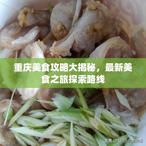 望其項(xiàng)背 第2頁