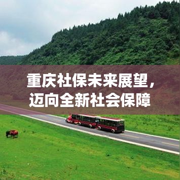 重慶社保未來(lái)展望，邁向全新社會(huì)保障體系，2024年更新動(dòng)態(tài)揭秘！