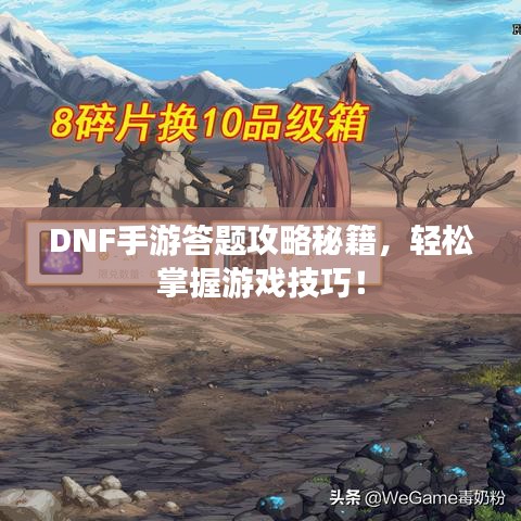 DNF手游答題攻略秘籍，輕松掌握游戲技巧！