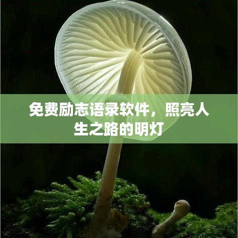 免費(fèi)勵(lì)志語錄軟件，照亮人生之路的明燈