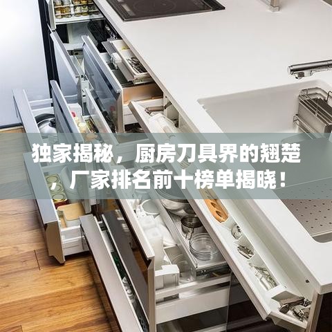 獨家揭秘，廚房刀具界的翹楚，廠家排名前十榜單揭曉！