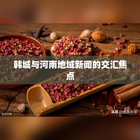 韓城與河南地域新聞的交匯焦點(diǎn)