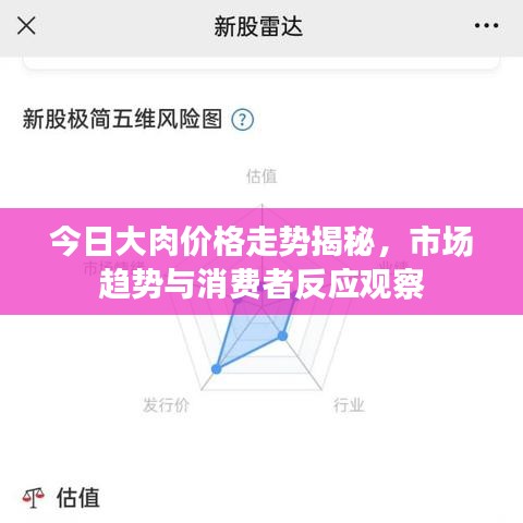 今日大肉價格走勢揭秘，市場趨勢與消費者反應(yīng)觀察