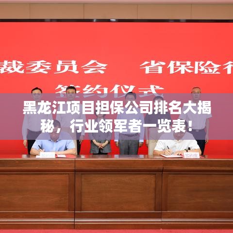 黑龍江項目擔保公司排名大揭秘，行業(yè)領(lǐng)軍者一覽表！