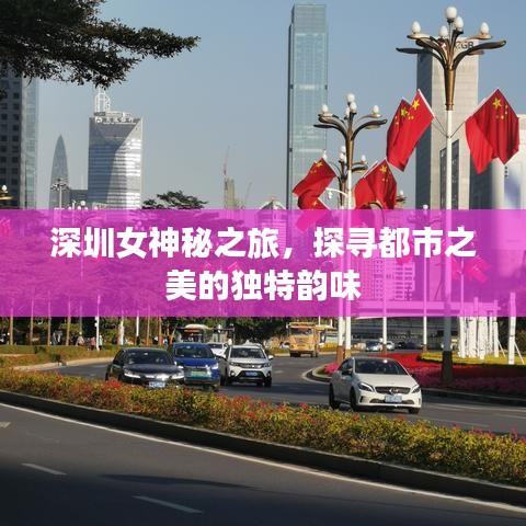 深圳女神秘之旅，探尋都市之美的獨特韻味