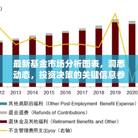 最新基金市場分析圖表，洞悉動態(tài)，投資決策的關(guān)鍵信息參考