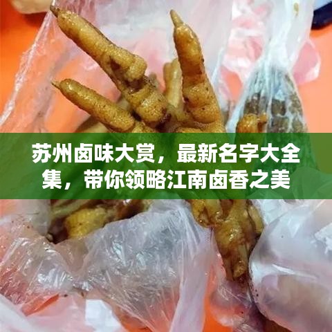 蘇州鹵味大賞，最新名字大全集，帶你領(lǐng)略江南鹵香之美