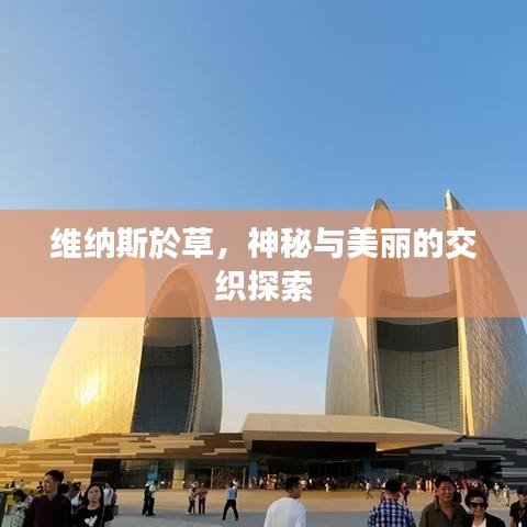 維納斯於草，神秘與美麗的交織探索