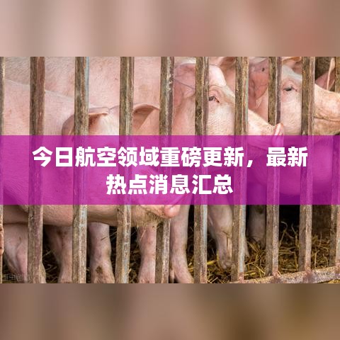 今日航空領域重磅更新，最新熱點消息匯總