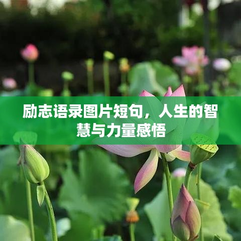 勵(lì)志語錄圖片短句，人生的智慧與力量感悟