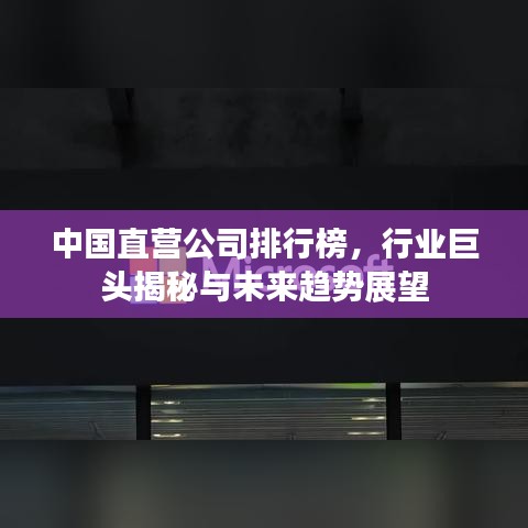 中國直營公司排行榜，行業(yè)巨頭揭秘與未來趨勢展望