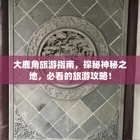 大鹿角旅游指南，探秘神秘之地，必看的旅游攻略！