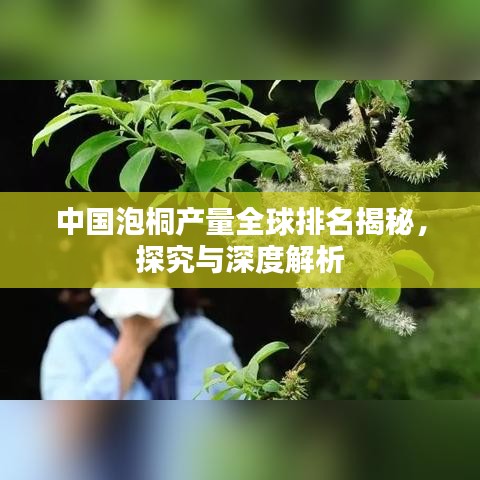 中國泡桐產(chǎn)量全球排名揭秘，探究與深度解析