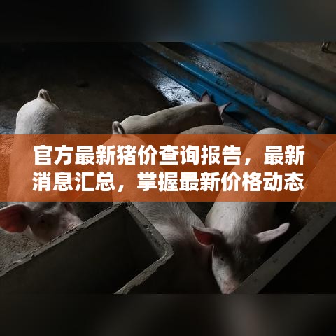 官方最新豬價查詢報告，最新消息匯總，掌握最新價格動態(tài)