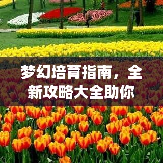 夢(mèng)幻培育指南，全新攻略大全助你輕松掌握技巧！