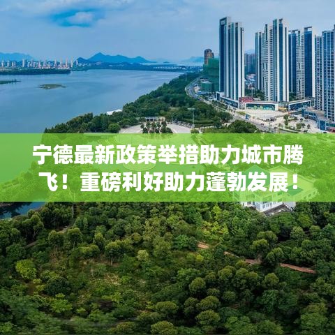寧德最新政策舉措助力城市騰飛！重磅利好助力蓬勃發(fā)展！